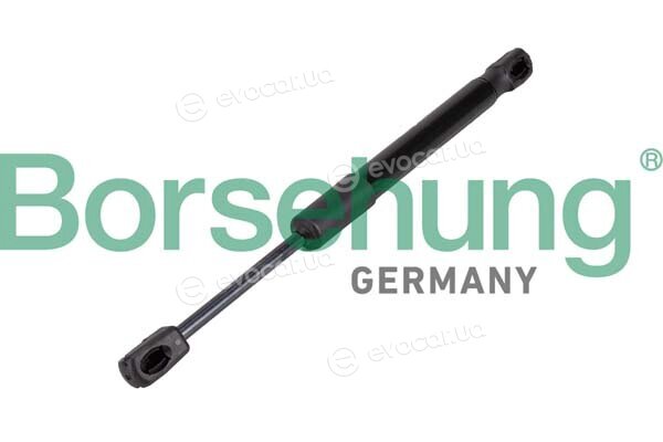 Borsehung B12476