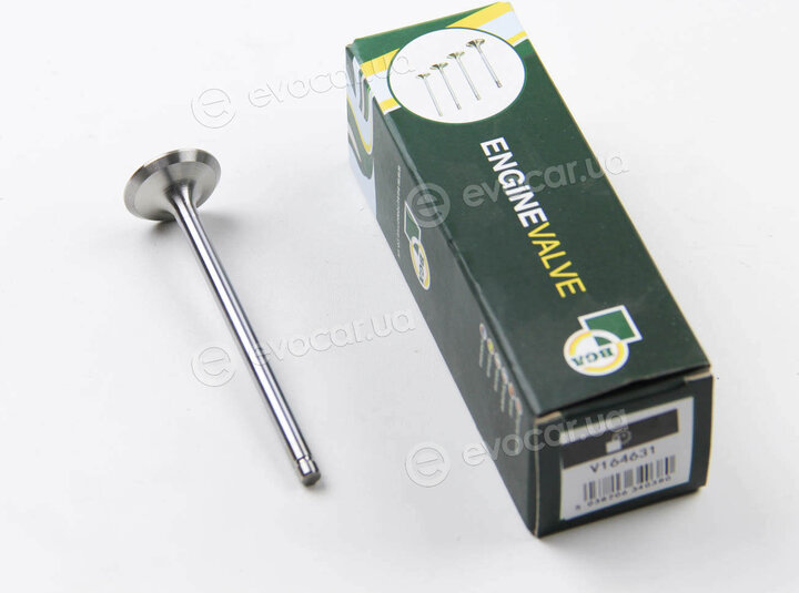 BGA V164631