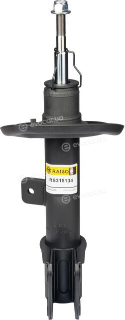 Raiso RS315134