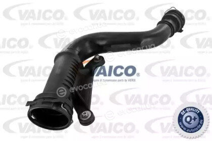 Vaico / Vemo V10-2506