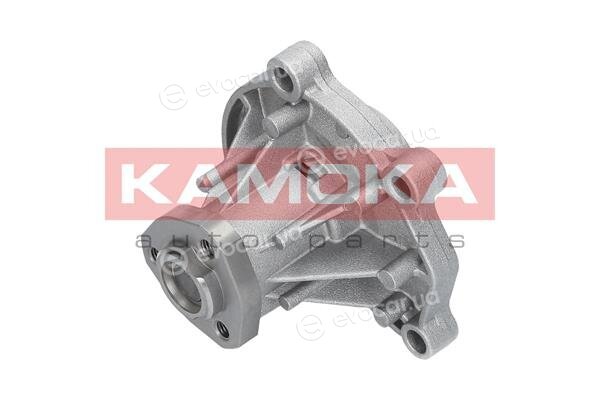 Kamoka T0252