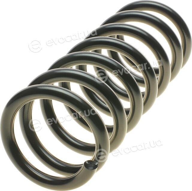Lesjofors 4095023