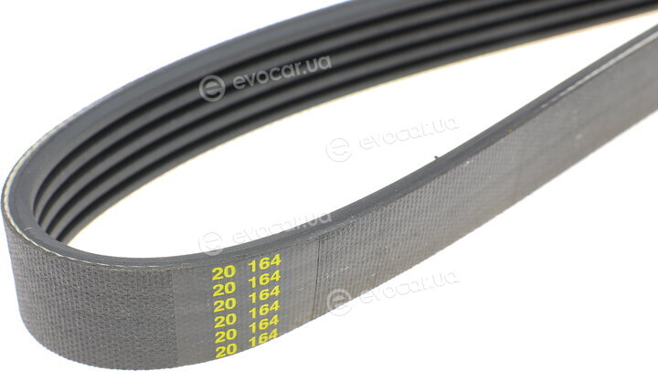 Hutchinson 1005 K 5