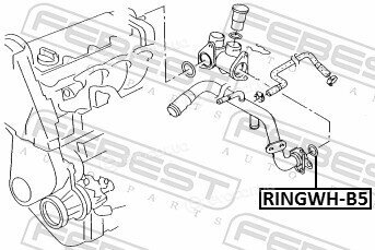 Febest RINGWH-B5