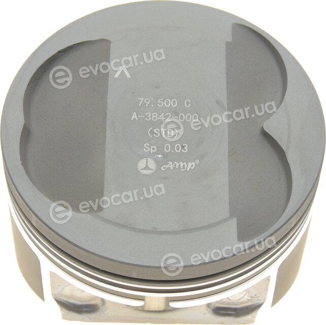 AMP PX-REN-4A-3842-000-C
