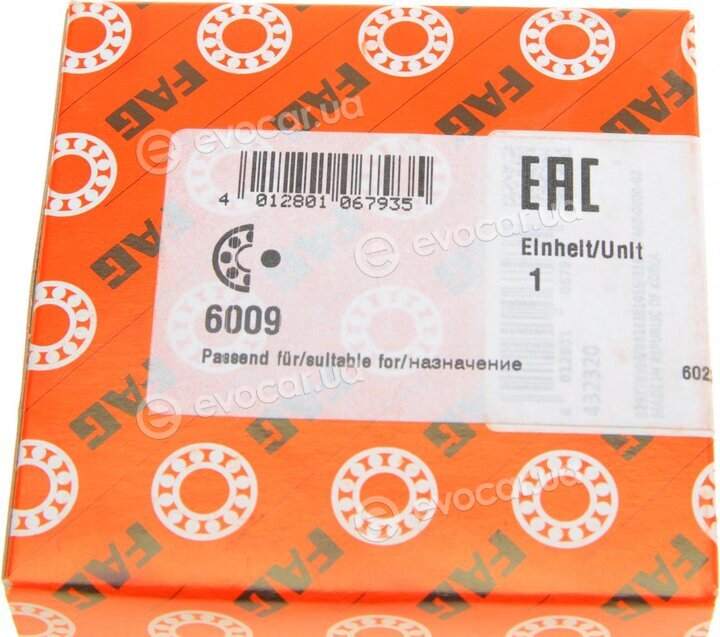 FAG 6009