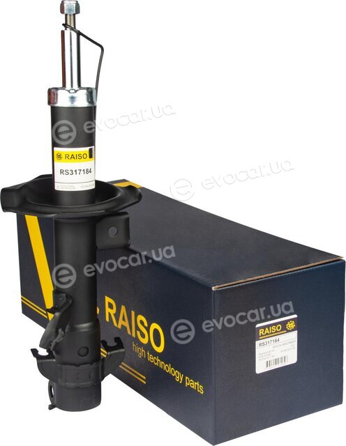 Raiso RS317184