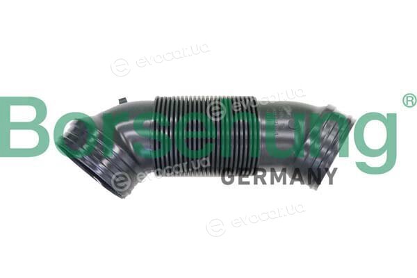 Borsehung B12324