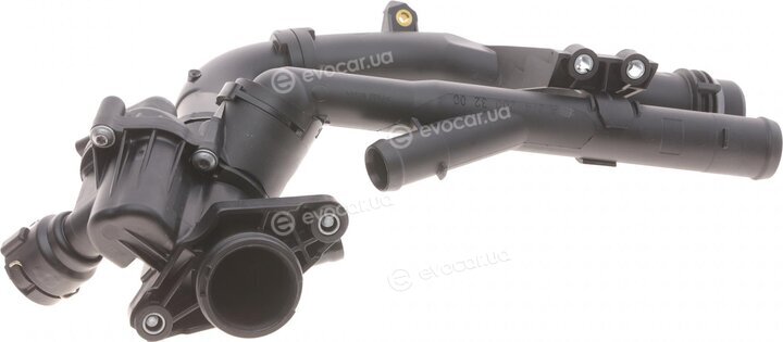 Hepu TM1029
