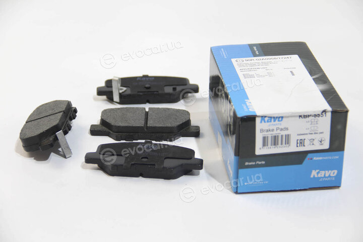 Kavo KBP-5551