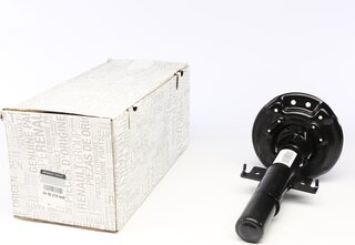Renault / Nissan 543027894R