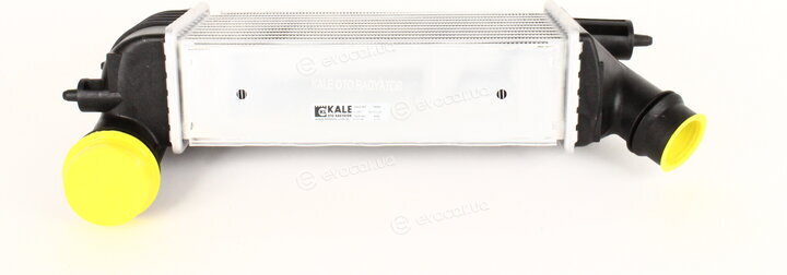 Kale 350860