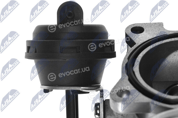 NTY EGR-AU-003
