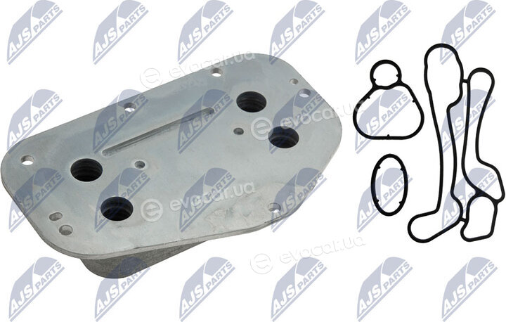 NTY CCL-PL-003