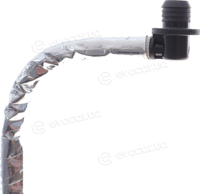 DP BS 81421 NİF