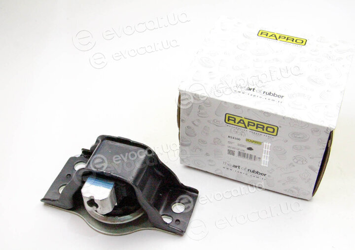 Rapro R53100