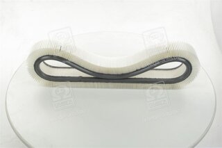 Champion CAF100148R