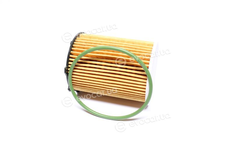 Mahle OX 171/2D1