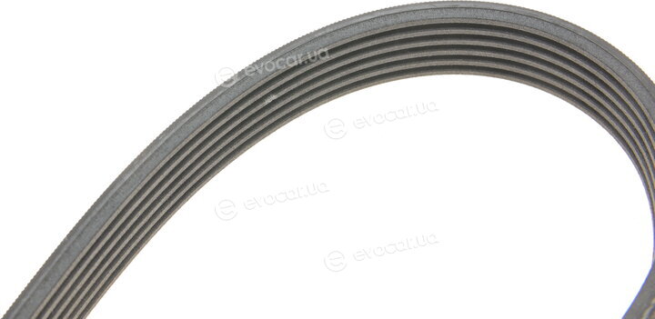 Continental 6PK1153K3