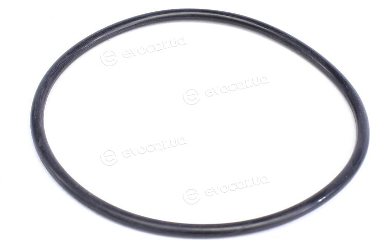 Solgy 101053