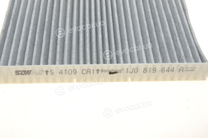 Borsehung B12796