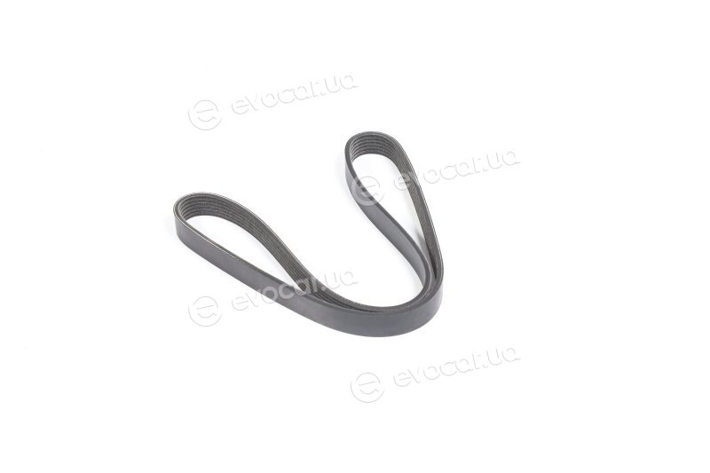 Dayco 6PK1029EE