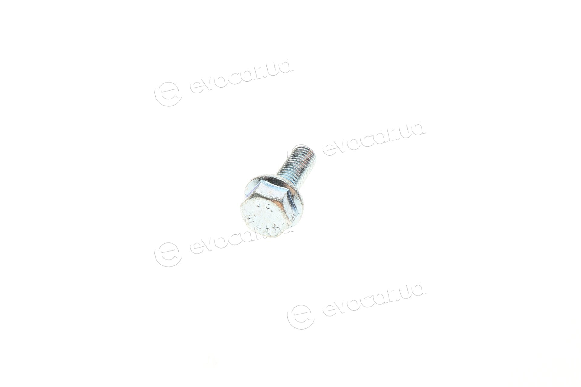 Solgy 203105