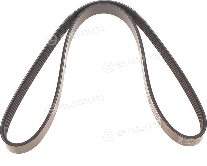 Dayco 5PK1030