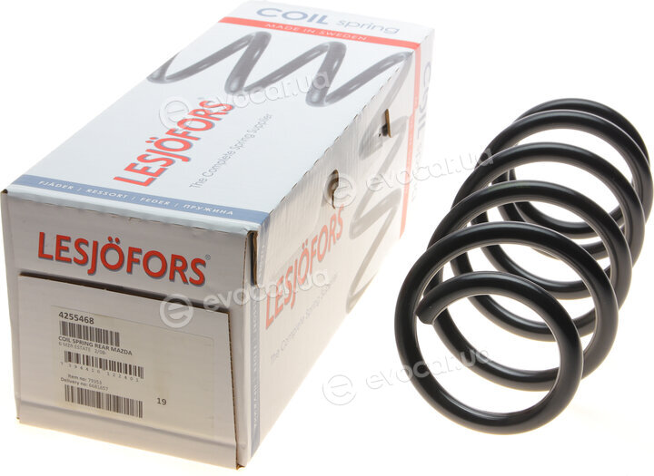 Lesjofors 4255468