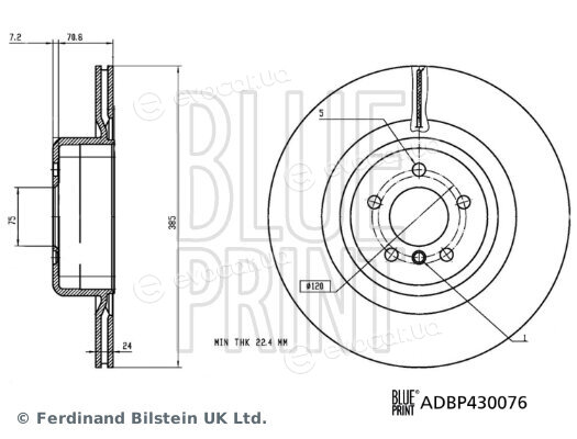 Blue Print ADBP430076