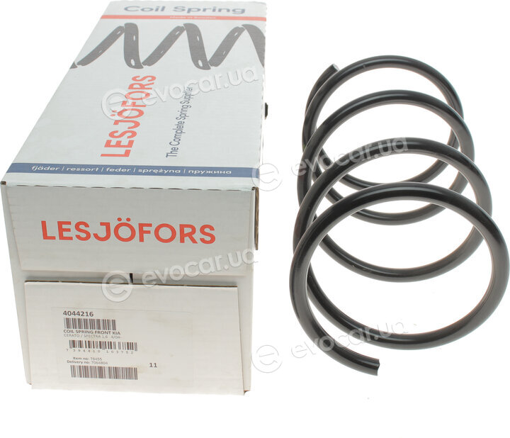 Lesjofors 4044216