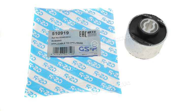 GSP 510919