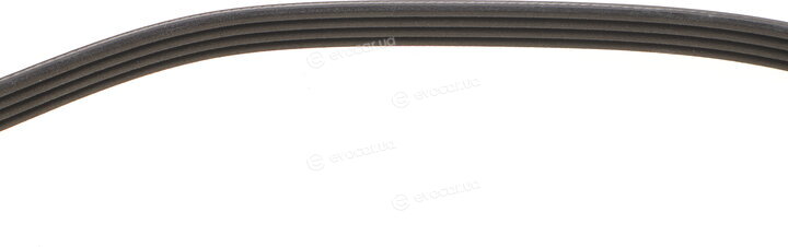 Dayco 4PK820