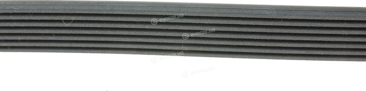 Continental 7DPK2880