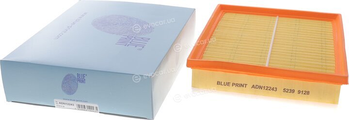 Blue Print ADN12243
