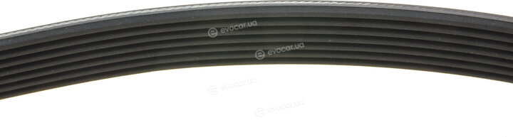 Continental 7PK1440