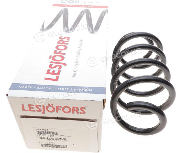 Lesjofors 4217002