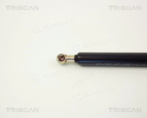 Triscan 8710 1009
