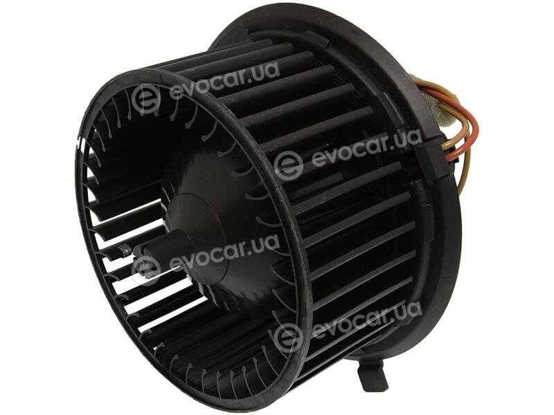 AIC 50616