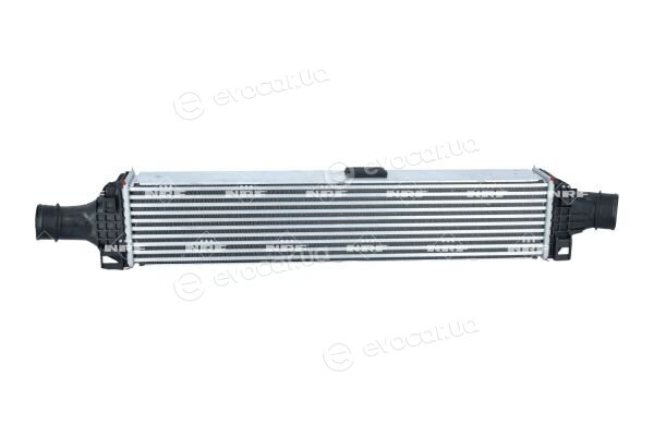 NRF 309101