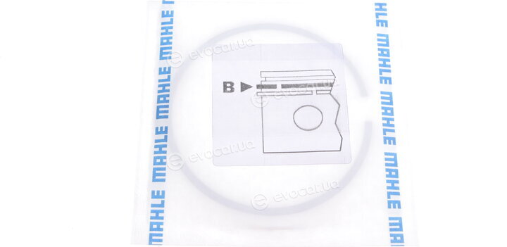 Mahle 002 24 N2