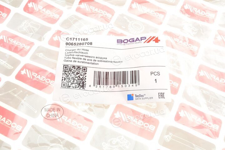 Bogap C1711165