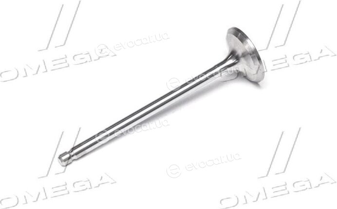 Gunes 3766