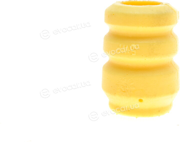 Borsehung B10021