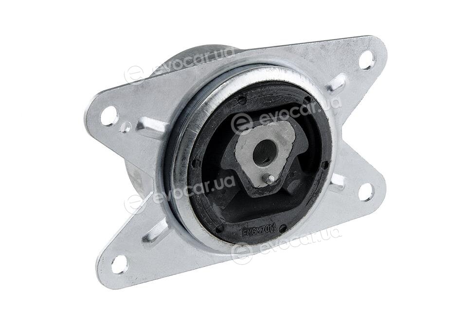NTY ZPS-PL-014