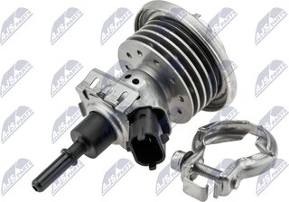 NTY BWP-LR-002