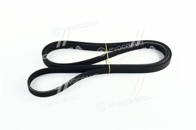 Dayco 6PK2404