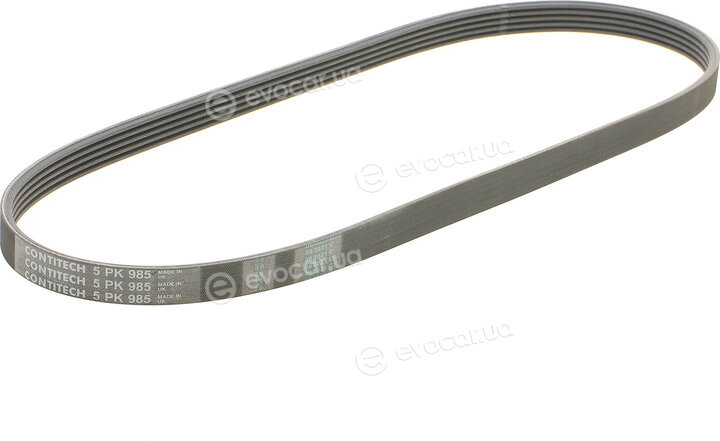 Continental 5PK985