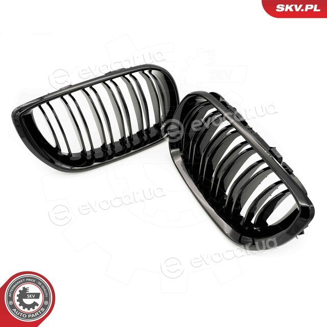 SKV 66SKV081