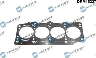 Dr. Motor DRM15227